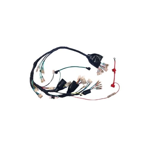 ARNES COMPLETO ITALIKA FT150 PROMOTO